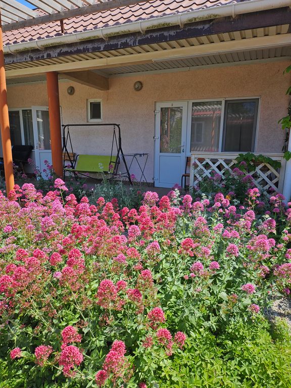 ЧерноМорское-Ваша встреча с морем,солнцем  и мечтой! — Семейный номер улучшенный с удобствами и кондиционером