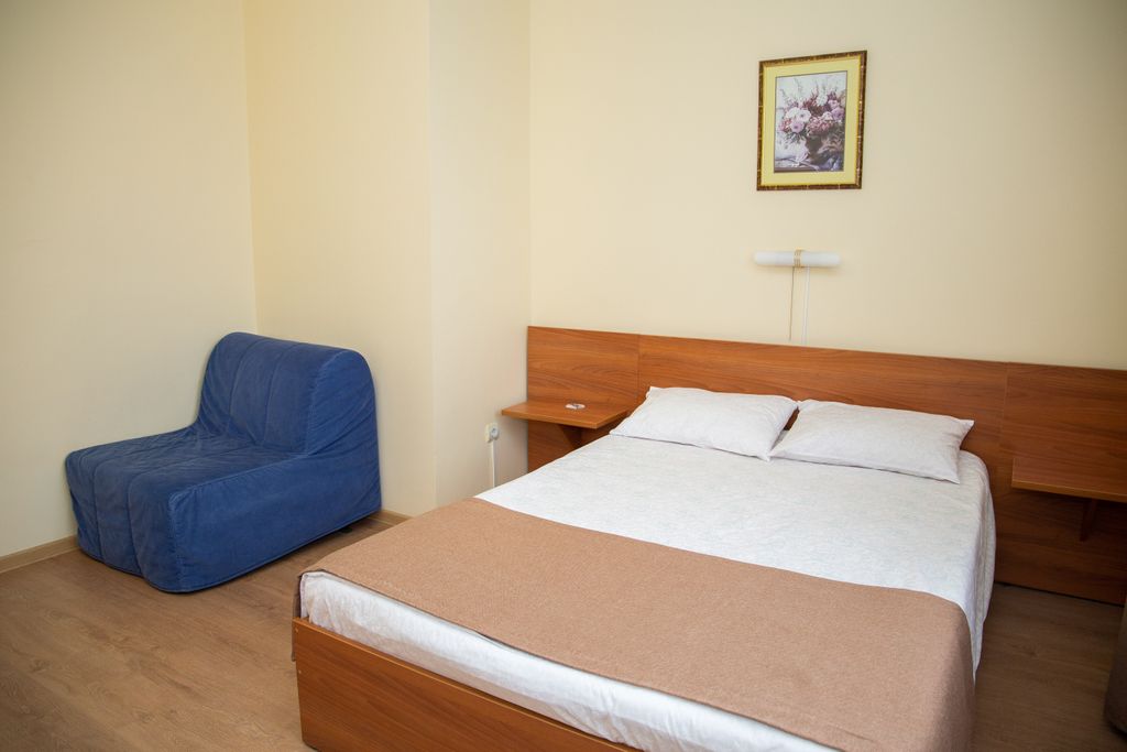 Дельфин — Двухместный номер с 1 кроватью классический