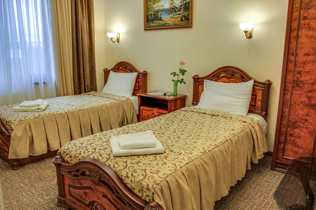 Даяна — Двухместный номер с 2 отдельными кроватями стандарт с видом на город