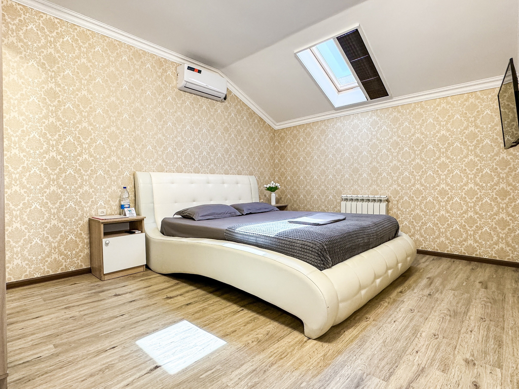 Ника Центр — Двухместный номер с 1 кроватью однокомнатная мансарда