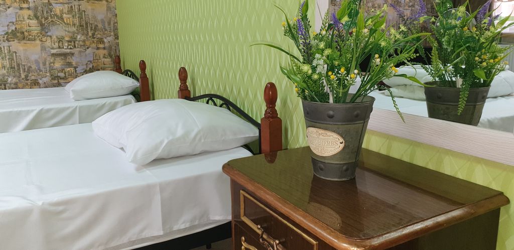 Слон — Четырёхместный номер просторный семейный в центре Пятигорска