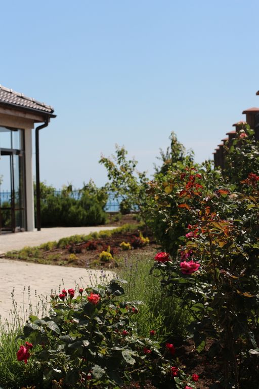 Avocado — Апартаменты Уютный Оазис: доступный люкс с выходом в живописный двор