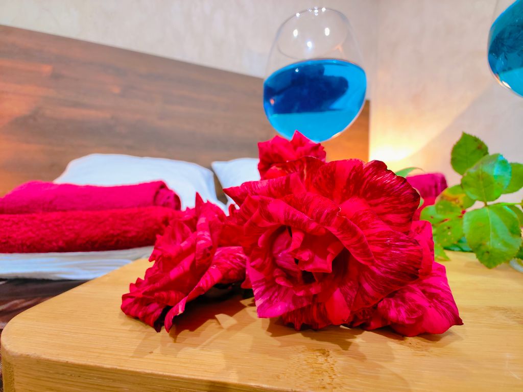 Антарес — Двухместный номер с 1 кроватью стандарт