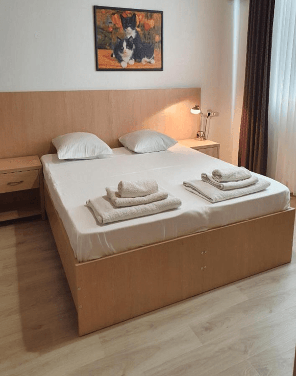 Sophia GuestHouse — Двухместный номер с 1 кроватью Бюджетный с 1 кроватью