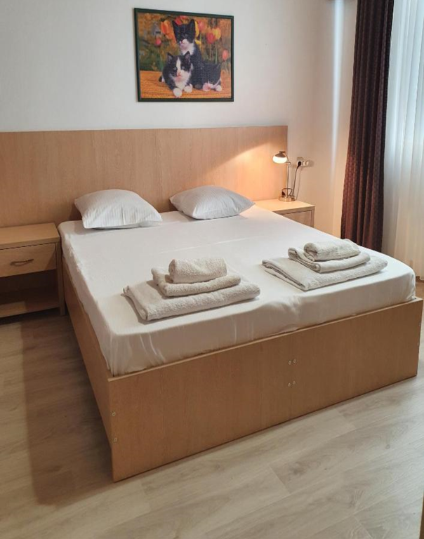 Sophia GuestHouse — Двухместный номер с 1 кроватью Бюджетный с 1 кроватью