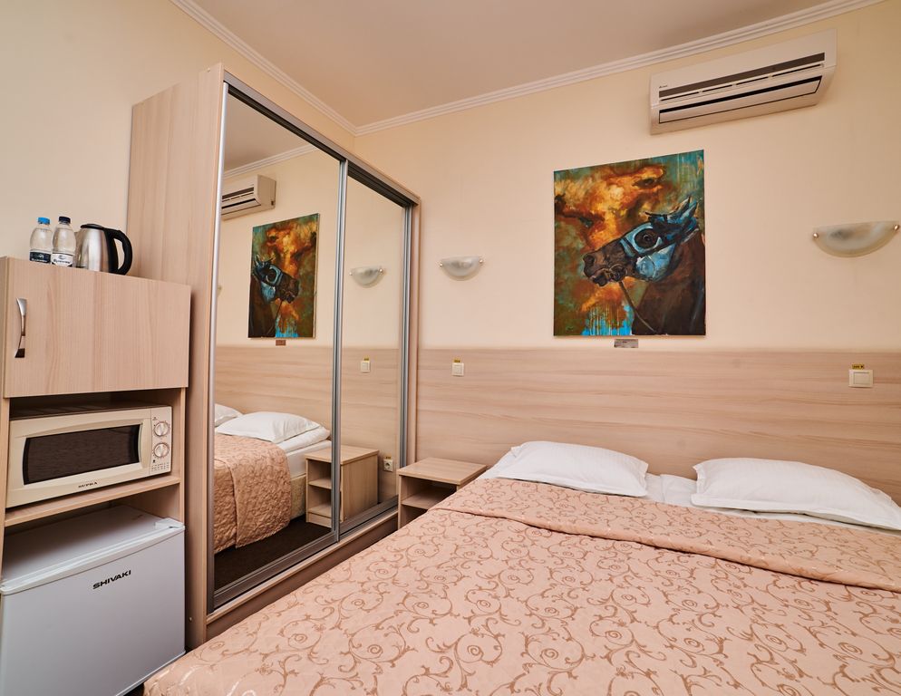 Арт-Ульяновск Левый Берег — Двухместный номер с 1 кроватью business