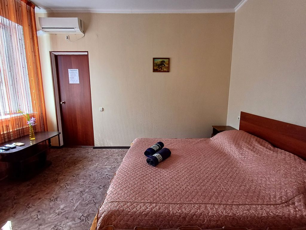 Надежда — Двухместный номер с 1 кроватью стандартный