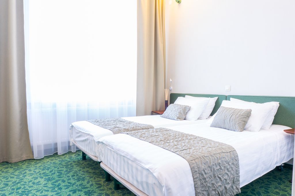 Тайга — Двухместный номер с 2 отдельными кроватями стандартный с 1 большой или 2 раздельными кроватями