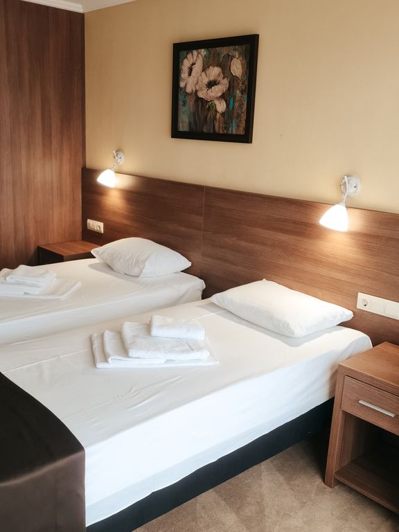 Балтика — Двухместный номер с 2 отдельными кроватями улучшенный с видом на город