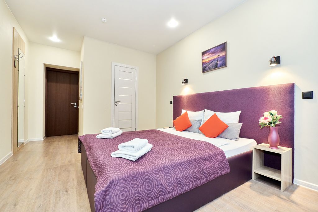 Питер на Добролюбова — Двухместный номер с 1 кроватью Улучшенный номер с одной большой или двумя кроватями