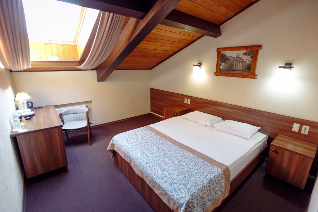 Алёша Попович Двор — Двухместный номер с 1 кроватью стандарт