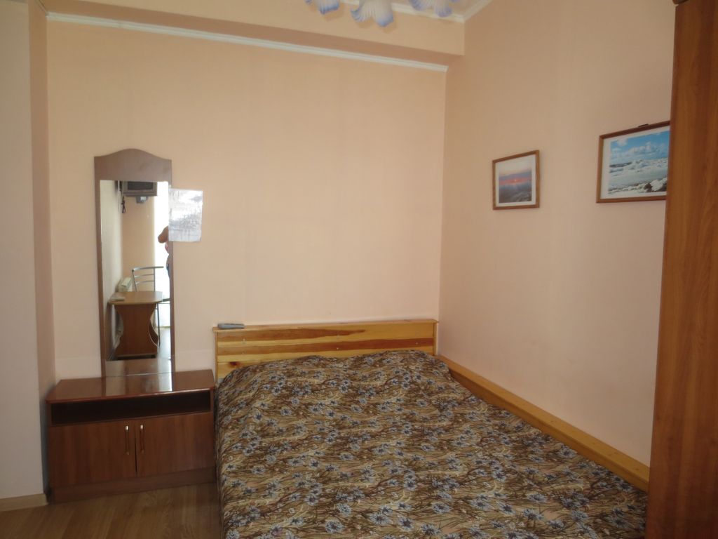 Мишель — Двухместный номер с 1 кроватью стандарт