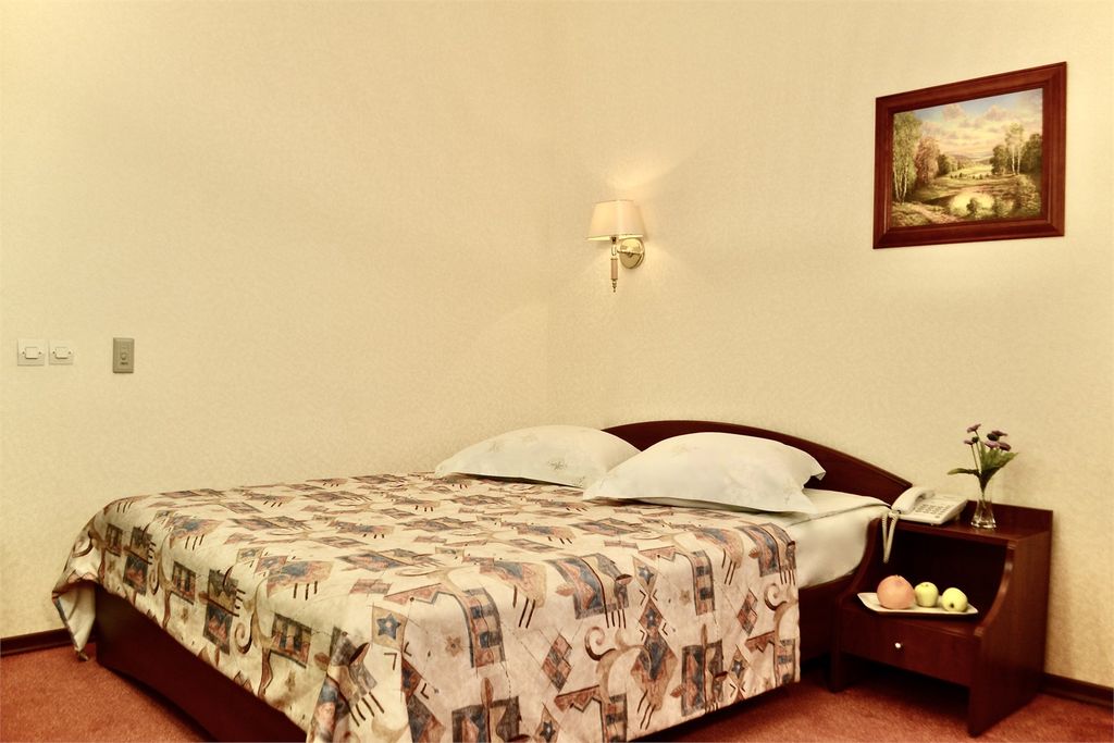 Сигнал — Двухместный номер с 1 кроватью стандарт