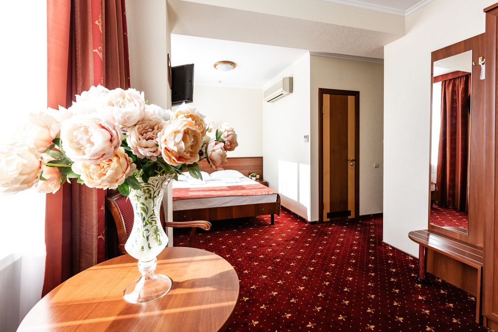 Амакс Конгресс — Двухместный номер с 1 кроватью студия