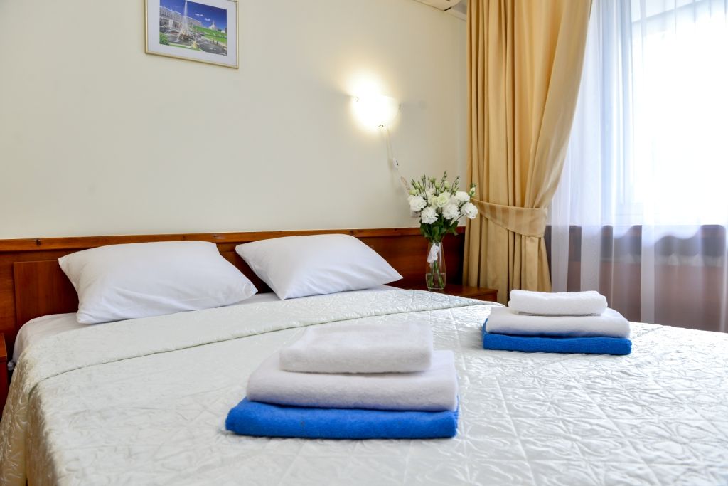 Нева — Двухместный номер с 1 кроватью стандарт