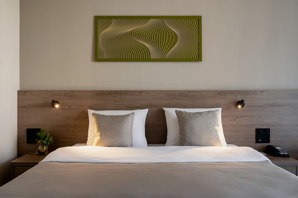 Greengate Hotel&SPA — Двухместный номер с 1 кроватью стандарт