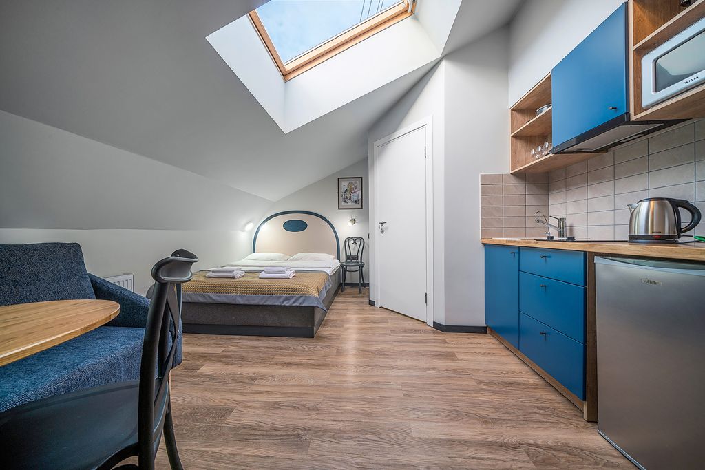 Друзья на Садовой — Двухместный номер с 1 кроватью студия с кухней на мансарде