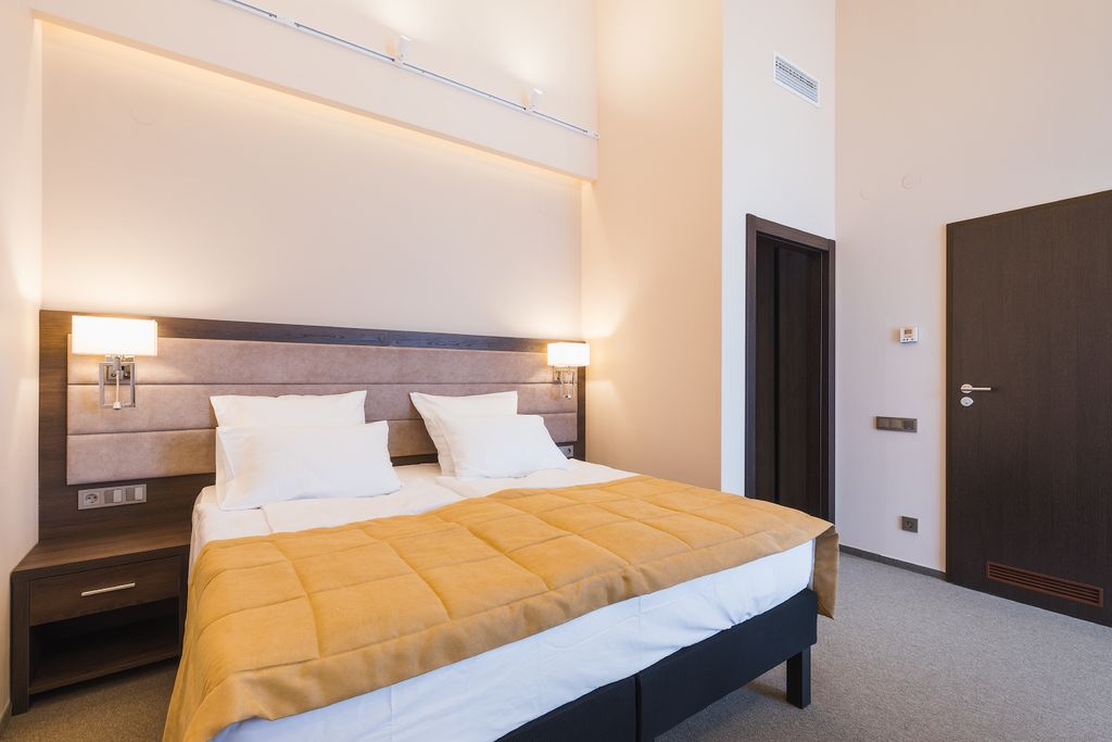 Кандинский — Двухместный номер с 1 кроватью делюкс