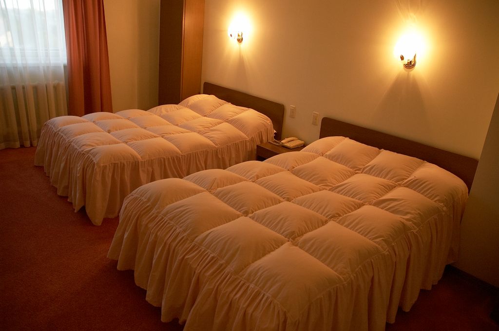 Сахалин-Саппоро — Двухместный номер с 2 отдельными кроватями улучшенный