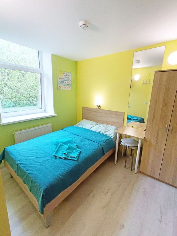 Золотой Клевер — Двухместный номер с 1 кроватью Бюджетный