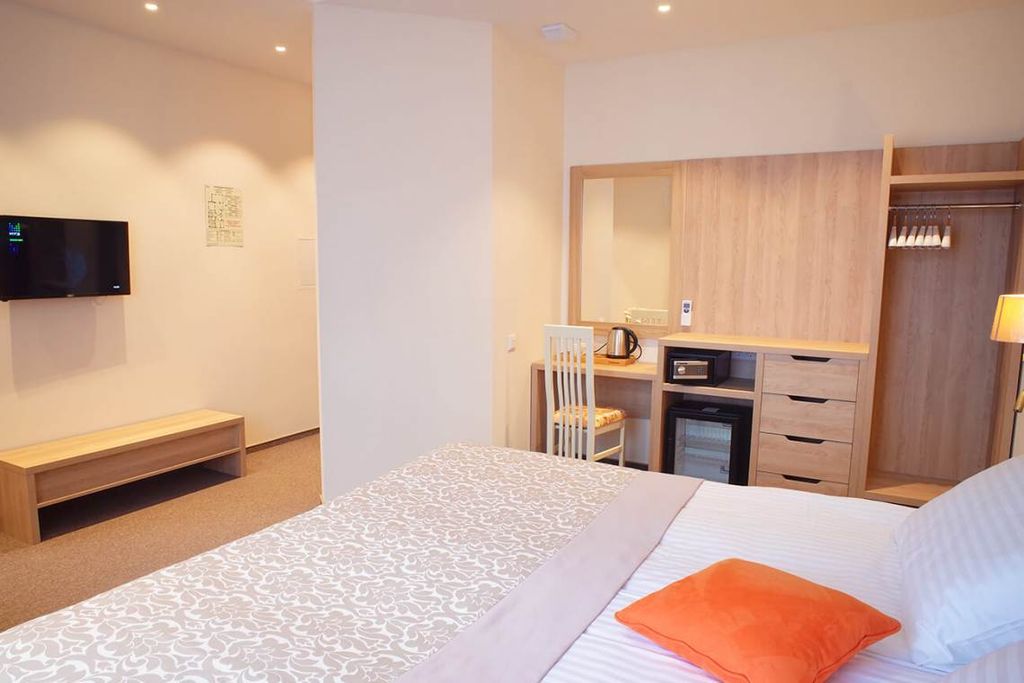 Хартман — Двухместный номер с 1 кроватью стандарт для людей с ограниченными возможностями