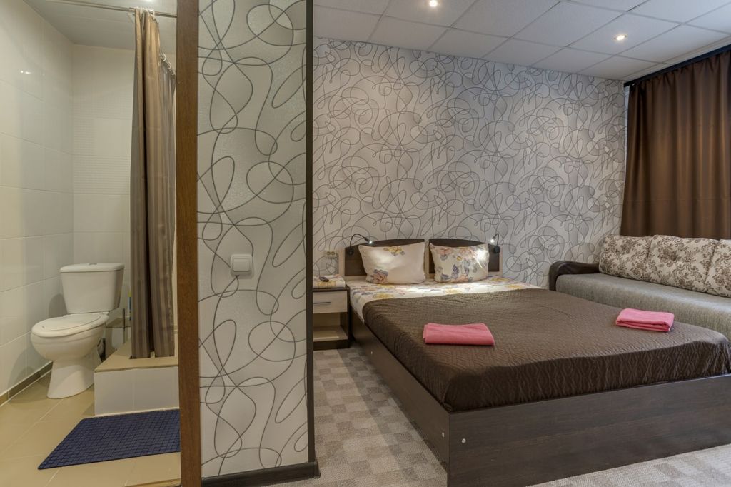 Ладомир в Сокольниках — Двухместный номер с 1 кроватью стандартный