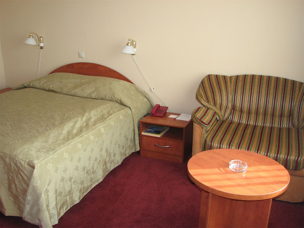 Евротель Центральный — Двухместный номер с 1 кроватью стандарт с большой кроватью