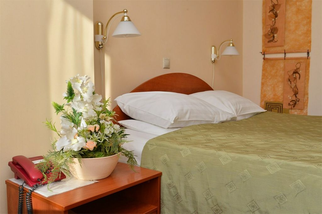 Евротель Центральный — Двухместный номер с 1 кроватью студия