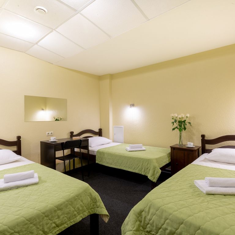 Авиамоторная — Трёхместный номер эконом на цокольном этаже