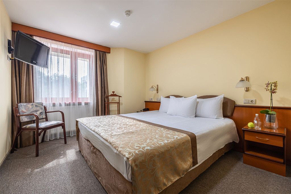 Волна — Двухместный номер с 1 кроватью люкс классик