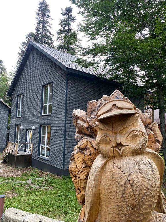 Сова — Дом стандарт