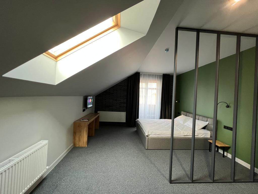 Grey — Двухместный номер с 1 кроватью люкс с видом на город