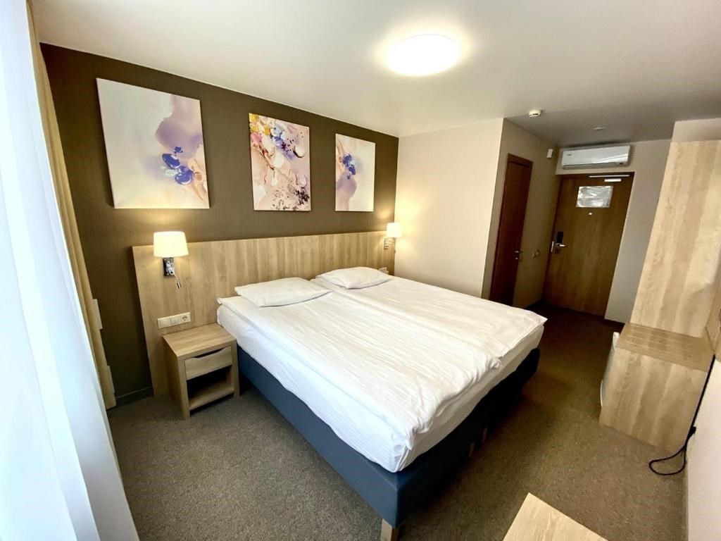 Амакс Омск — Двухместный номер с 1 кроватью бизнес с большой кроватью