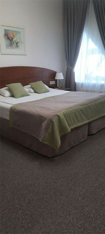 Раздолье — Двухместный номер с 1 кроватью или 2 отдельными кроватями, супериор