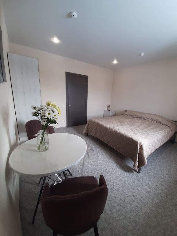 Волга — Двухместный номер с 1 кроватью