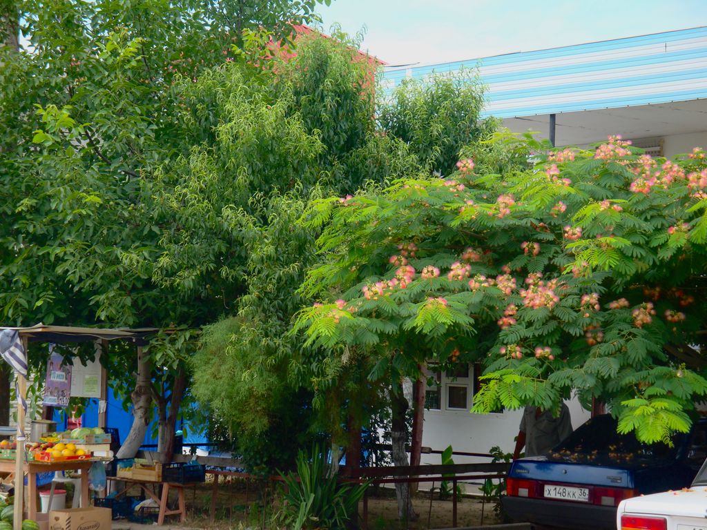 Татьяна — Четырёхместный номер эконом