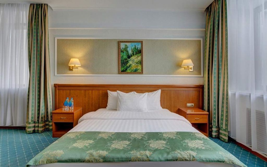 Альянс Бородино — Двухместный номер с 1 кроватью бизнес