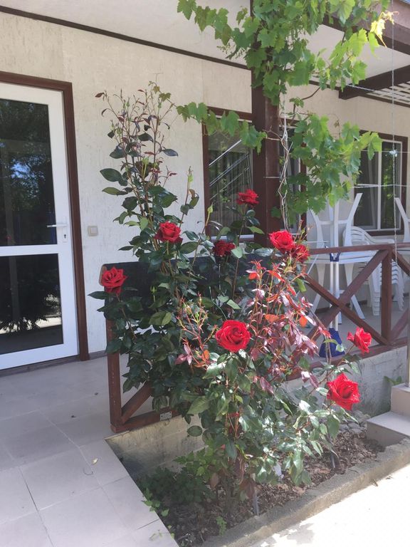 Лес у моря — Семейный номер двухкомнатный с видом на сад