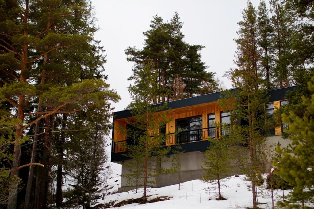 Чайка 1918 — Дом коттедж с тремя спальнями