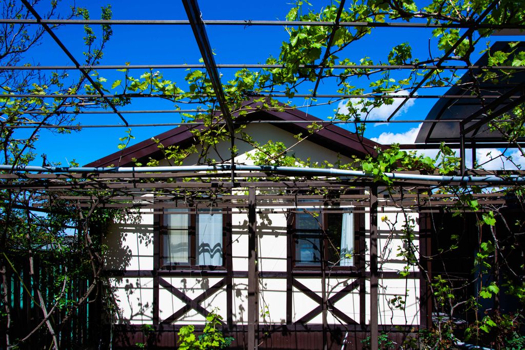 Вилла Александр — Дом Бунгало