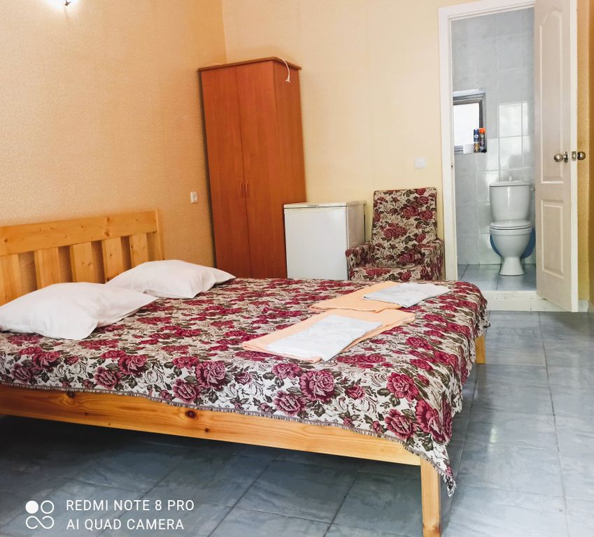 Шелковица — Двухместный номер с 1 кроватью стандарт