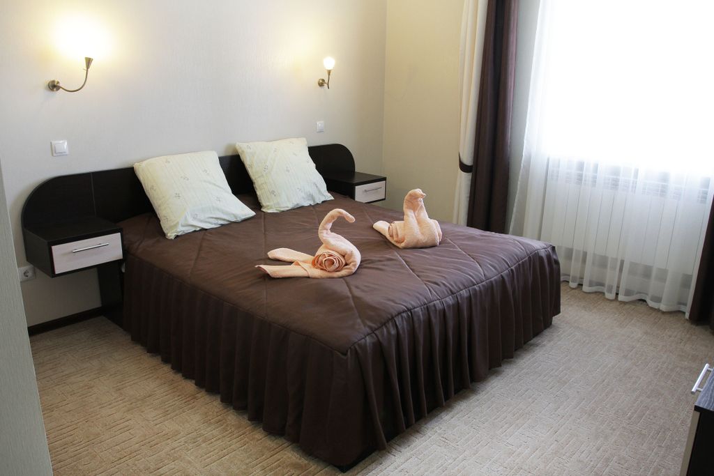 Бриз — Двухместный номер с 1 кроватью стандарт