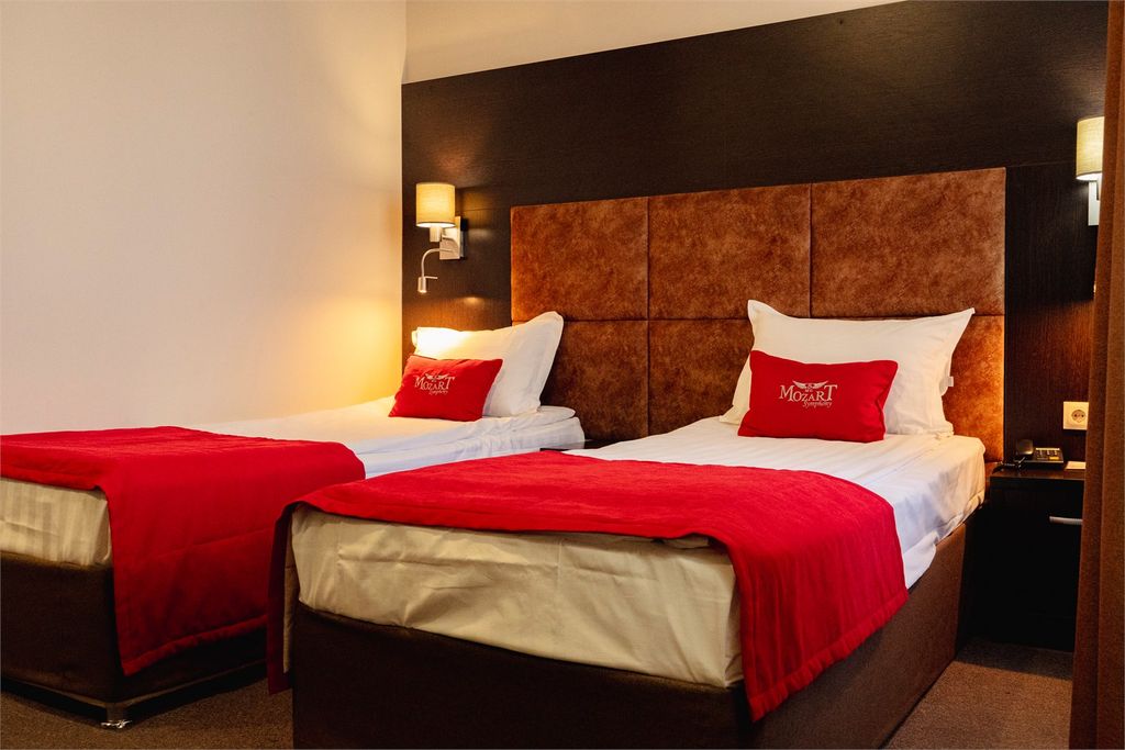 Моцарт — Двухместный номер с 2 отдельными кроватями Стандарт TWIN