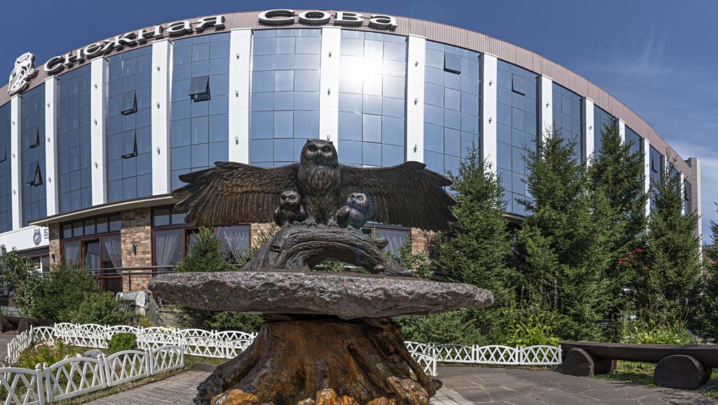 Снежная Сова — Двухместный номер с 1 кроватью комфорт