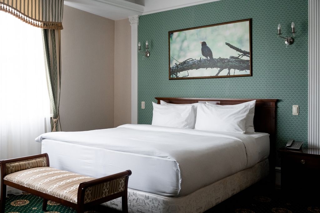 Степная Пальмира — Двухместный номер с 1 кроватью Джуниор сюит