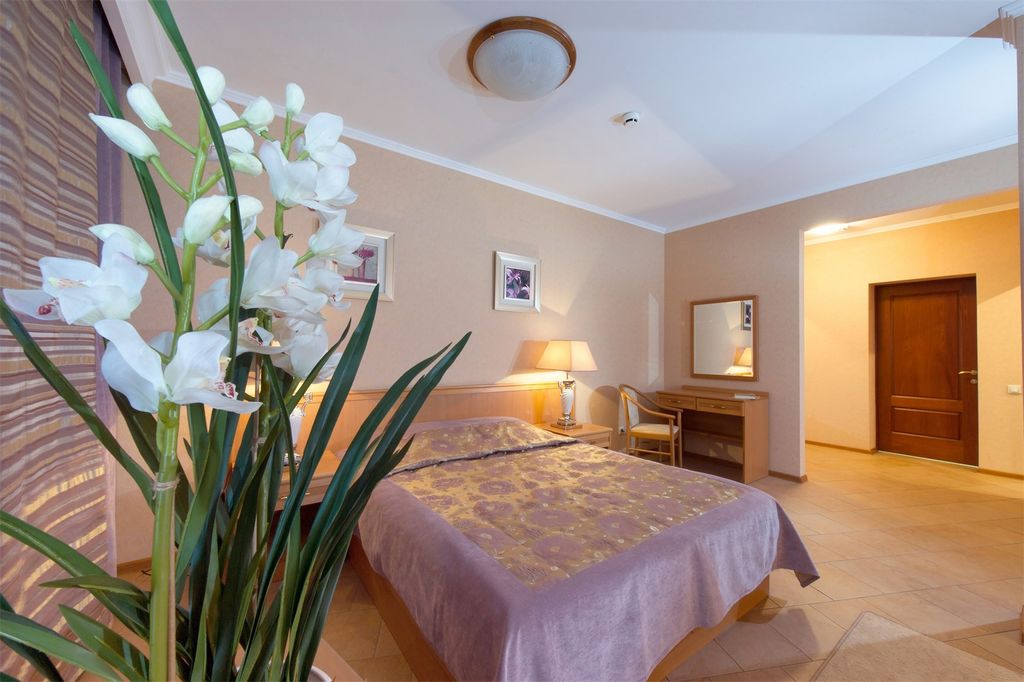 Новый — Двухместный номер с 1 кроватью полулюкс  junior suite