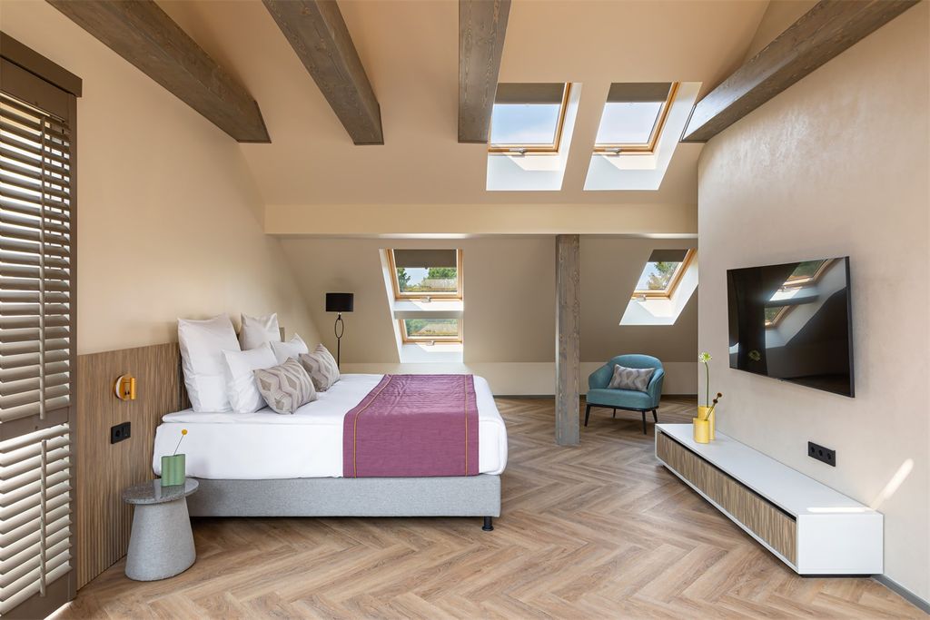 Berry Hotel & Spa — Двухместный номер с 1 кроватью стандарт бизнес