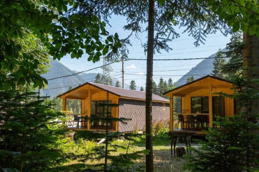 Forest House Resort — Дом шале двухкомнатный