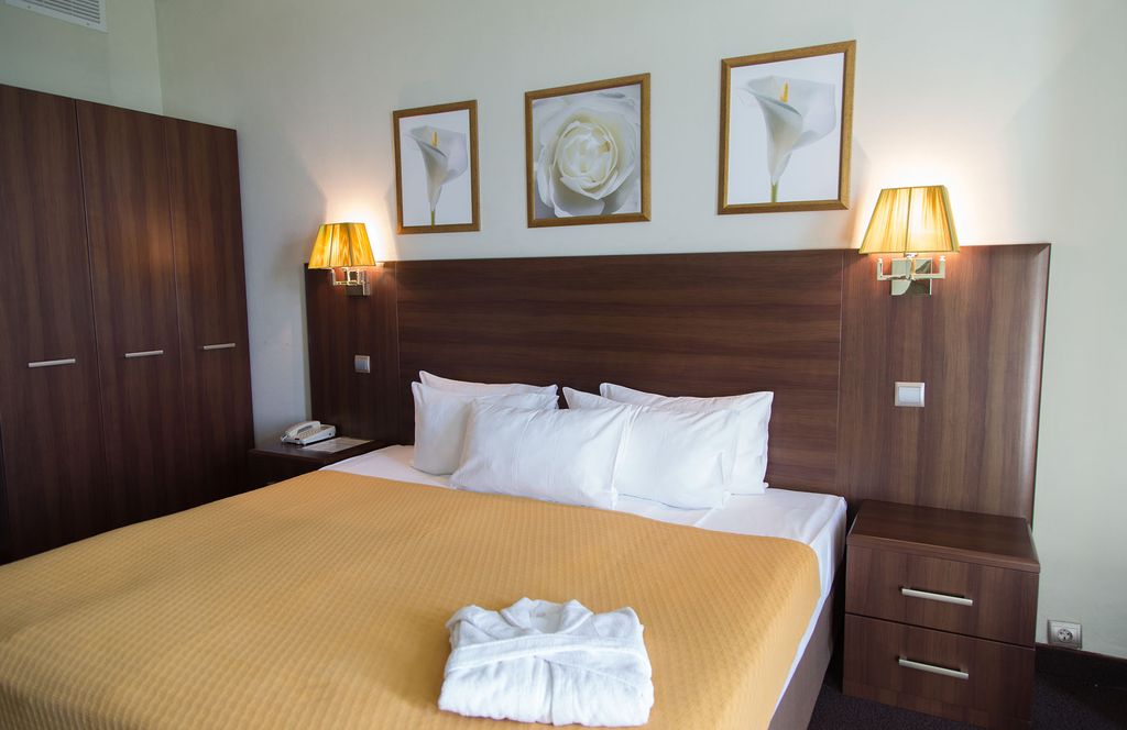 Золотой Затон — Двухместный номер с 1 кроватью делюкс