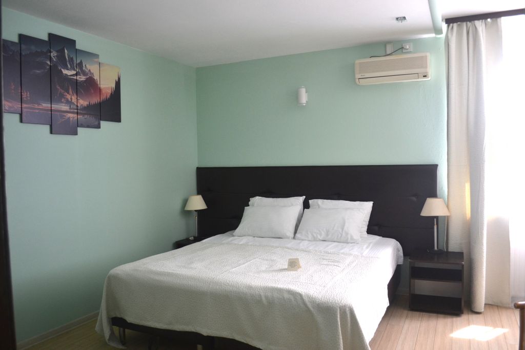 Премьер — Двухместный номер с 1 кроватью стандарт